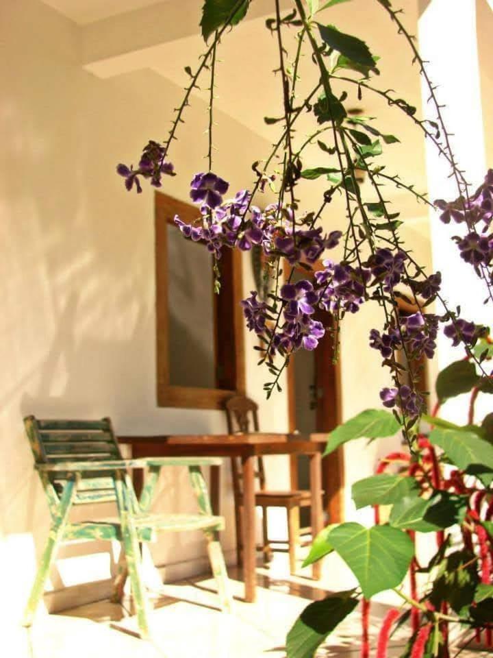 Pousada Villa Da Gama Araquari Szoba fotó