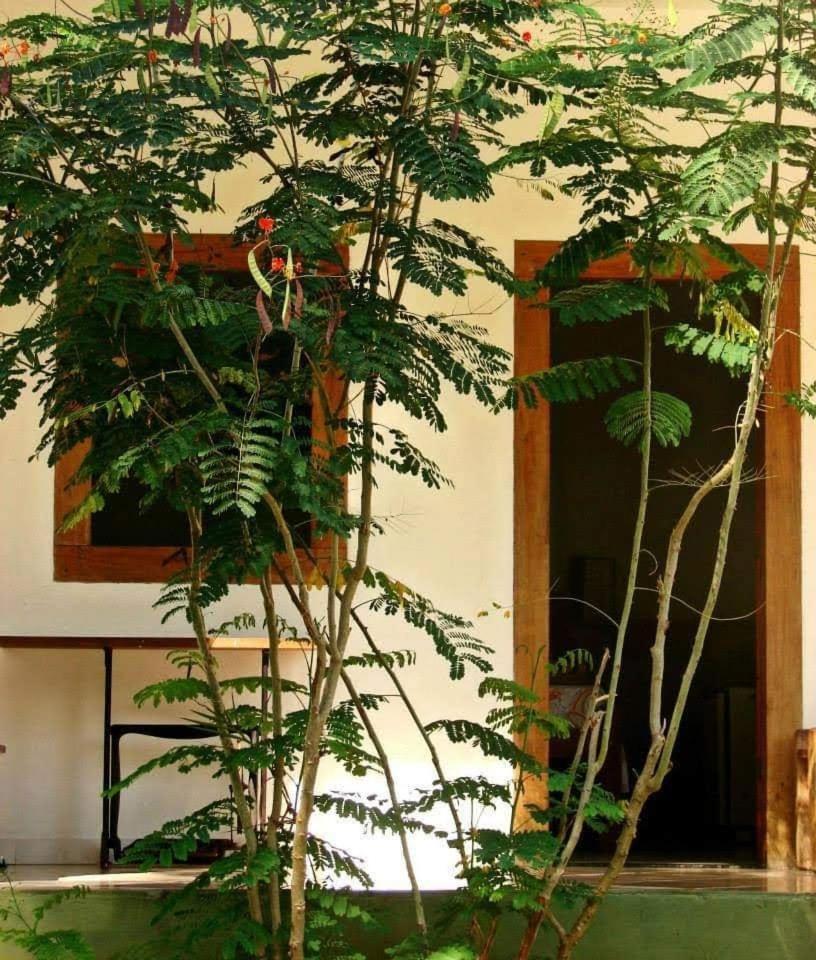 Pousada Villa Da Gama Araquari Szoba fotó